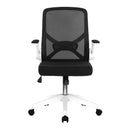 Oyster folding mesh chair with upholstered arms by Nautilus Designs, front view showing black frame and comfortable design.