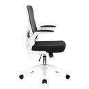 Nautilus Designs Oyster folding mesh chair with upholstered arms, featuring a sturdy frame and comfortable seating.