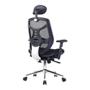 Nautilus Designs Polaris high back mesh executive chair with adjustable headrest and chrome base, viewed from the back side.