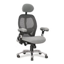 Grey Nautilus Designs Ergo ergonomic high back mesh office chair with adjustable headrest and lumbar support.