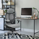 Grey Nautilus Designs Ergo ergonomic high back mesh office chair with adjustable headrest and lumbar support.