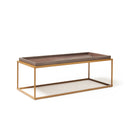 Dams Parma rectangular coffee table with matte gold steel frame and Venus top, modern living room furniture.