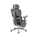 Poise Mesh Executive Chair With Headrest, Footrest & Adjustable Arms