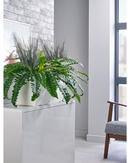 Boston Fern & Savannah Grass Cabinet Trough - NWOF