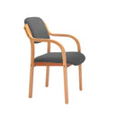 Side view of the TC Renoir armchair featuring a classic design with plush cushions and wooden armrests.