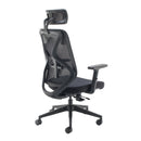 Black Maldini high back mesh chair by TC with ergonomic design and adjustable headrest, shown from the back.