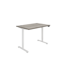 Front view of the TC Core Single Motor Sit Stand Desk in Alaskan Grey Oak finish, showcasing its sleek, modern design and sturdy construction.